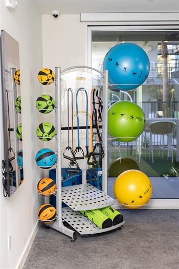 A room with a rack of exercise balls and a blue exercise ball on top.